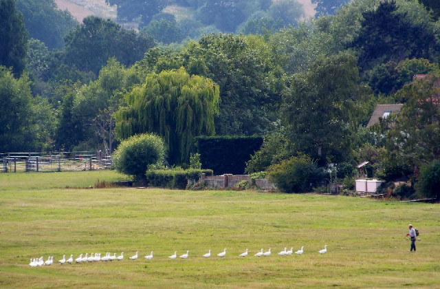  campagna inglese