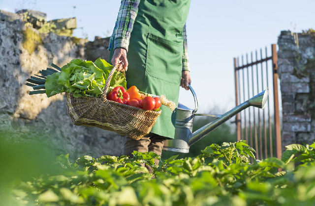 prodotti dell'orto a luglio