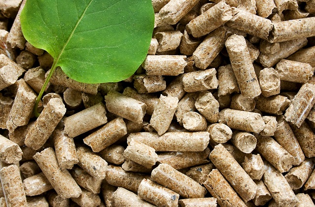 Pellet di qualità (ed ecologico): come riconoscerlo