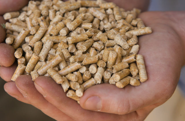 pellet ecologico mano